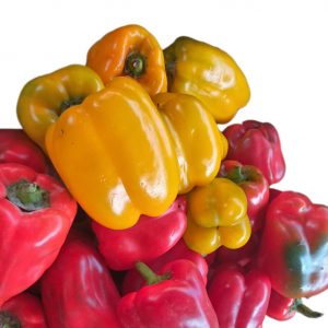 This red and yellow paper are freshly grown here in our fertile soil of uganda.